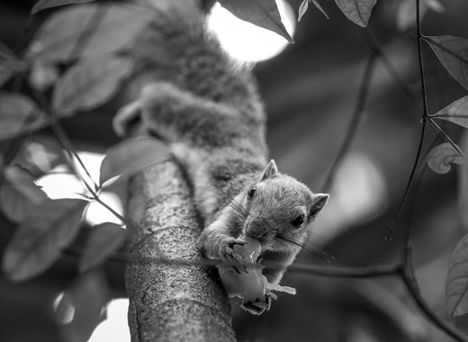 安全支付平台的短信轰在线轰炸免费下载